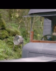 Filename=Women_at_War_S01E04_mkv2417.jpg
Filesize=819KiB
Dimensions=1920x1080
Date added=Jun 28, 2025 Women_at_War_S01E04_mkv2417.jpg