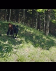 Women_at_War_S01E05_mkv4717.jpg