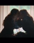 Filename=Women_at_War_S01E06_mkv1640.jpg
Filesize=629KiB
Dimensions=1920x1080
Date added=Jun 28, 2025 Women_at_War_S01E06_mkv1640.jpg