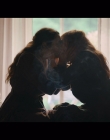 Filename=Women_at_War_S01E06_mkv1641.jpg
Filesize=644KiB
Dimensions=1920x1080
Date added=Jun 28, 2025 Women_at_War_S01E06_mkv1641.jpg