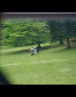 Filename=Women_at_War_S01E07_mkv5755.jpg
Filesize=869KiB
Dimensions=1920x1080
Date added=Jun 28, 2025 Women_at_War_S01E07_mkv5755.jpg